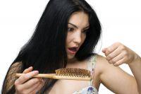#DicaMara - Quando a queda do cabelo é um problema de saúde?